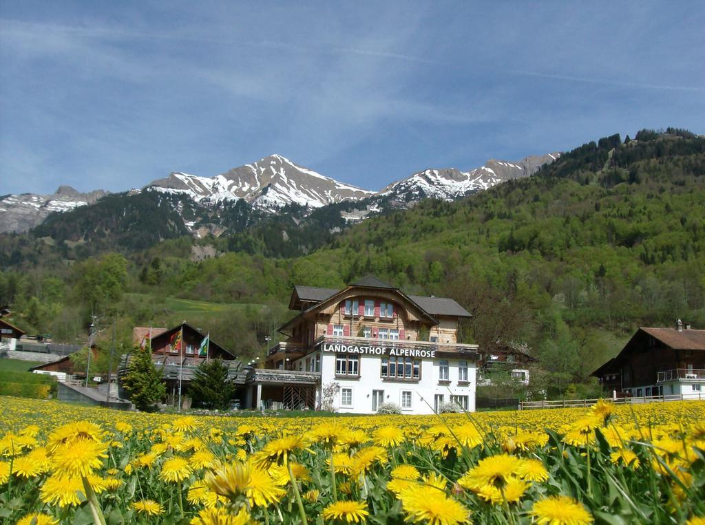 Hotel Alpenrose Beim Ballenberg Hofstetten bei Brienz Eksteriør bilde